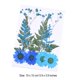 thumbnail image 5 of Toystoory Flores secas, flores prensadas, decoraciones de , accesorios de bricolaje, suministros para álbumes de recortes, artículos para el juego de flores azules 5Conjunto, 5 of 6