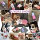 thumbnail image 2 of Suéteres para perros mascotas prendas de punto clásicas cuello alto invierno cálido cachorro Cl, 2 of 5