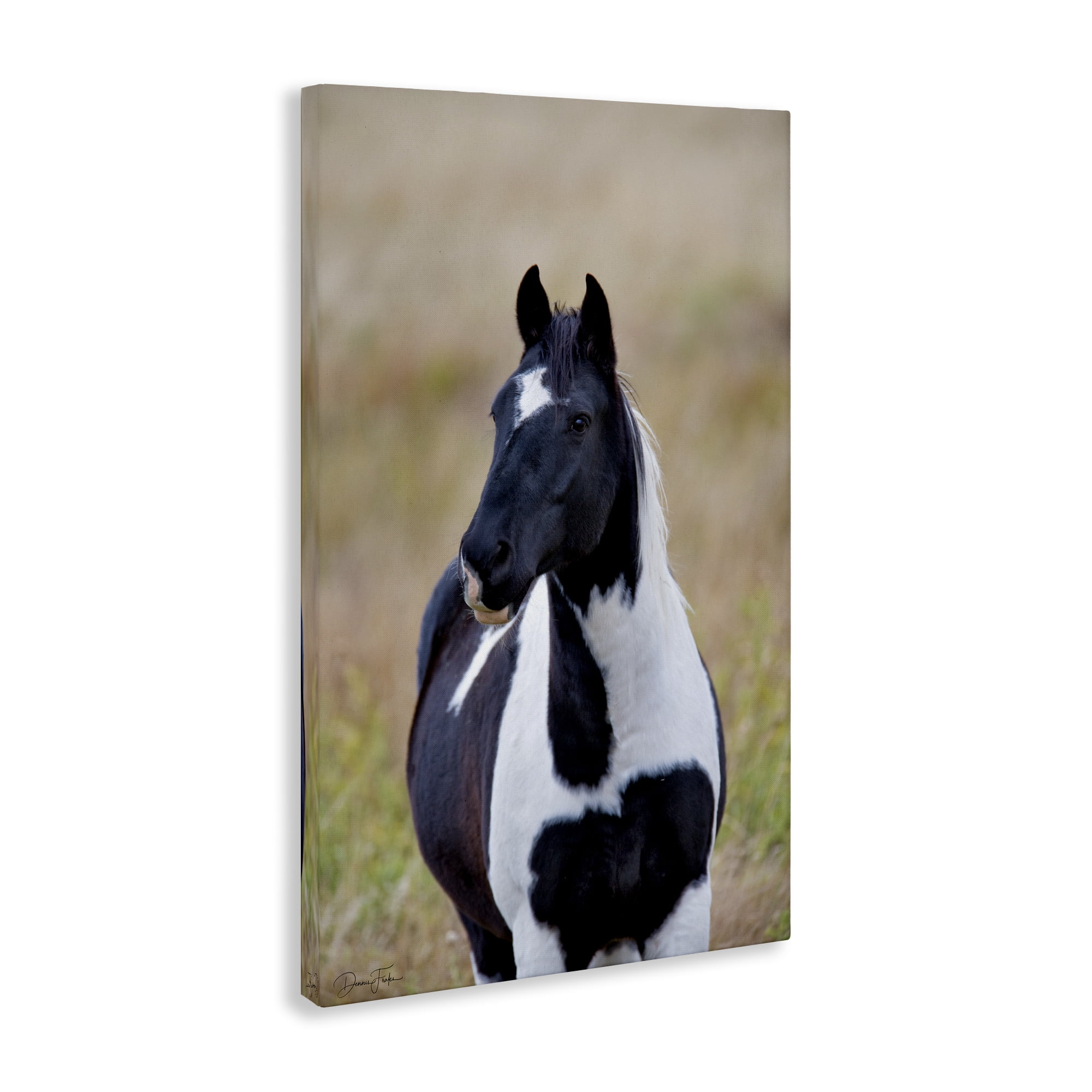 Stupell Industries Black & White Foal Animals & Insects Photography Gallery Wrapped Canvas Art Print Wall Art, 24 x 36