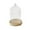 10x13cm, variant on TISHITA Clear Glass Dome Cloche Cover Stand Showcase Multifunctional Round Wood Base Transparent Cover for Fairy Lights, Table Decor 10x16cm