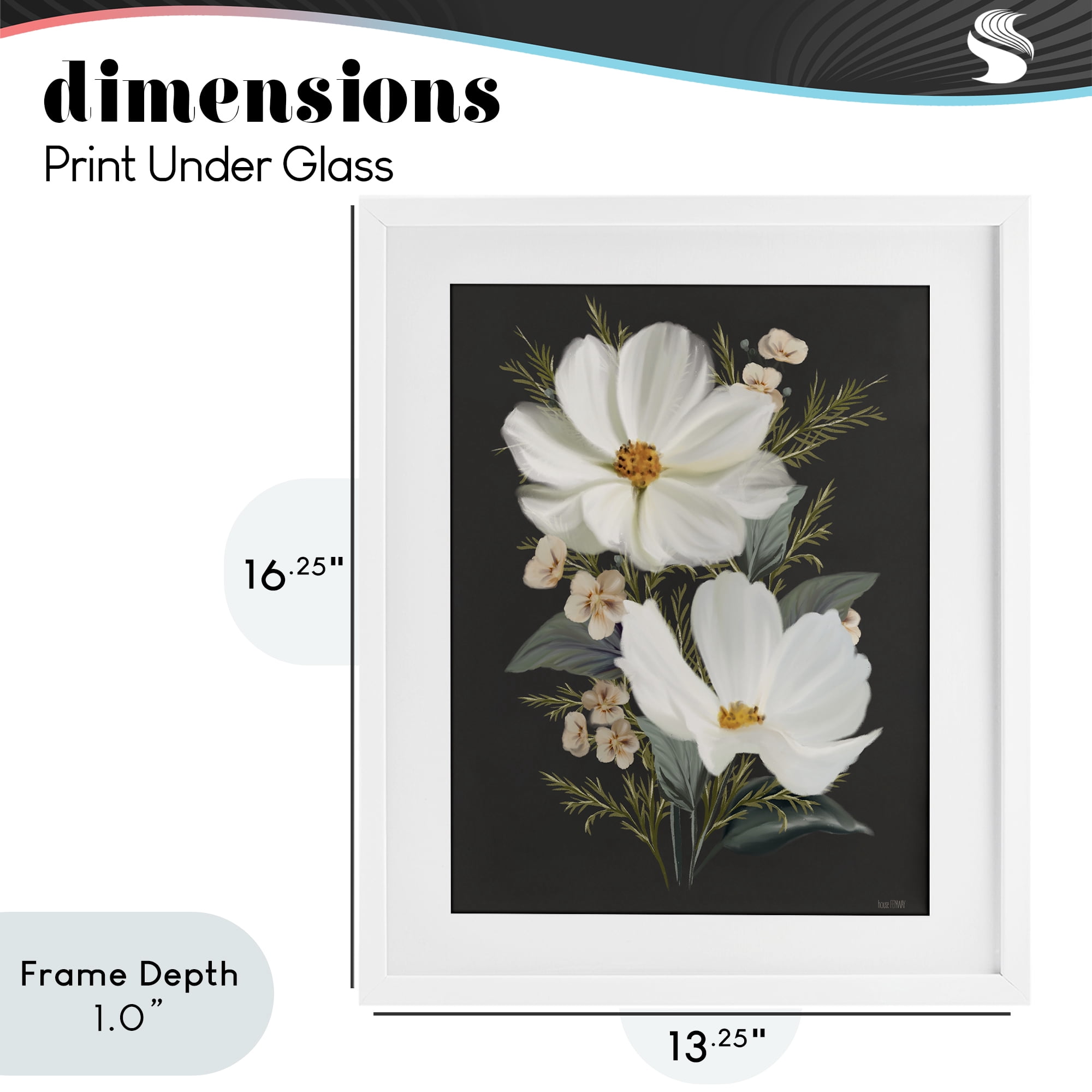 Stupell Industries Old Lace Cosmos White Framed Print Under Glass, design by House Fenway