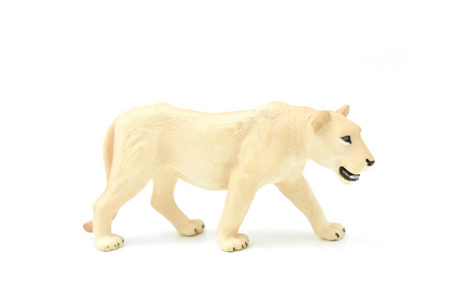 Lioness, White Lion, Realistic Small Toy Model Plastic Replica African