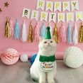 thumbnail image 5 of Pet Collar Birthday Party Hat Bib Scarf For Cats And Dogs Pet Accessories Design And Durable Polyester Craft, 5 of 5