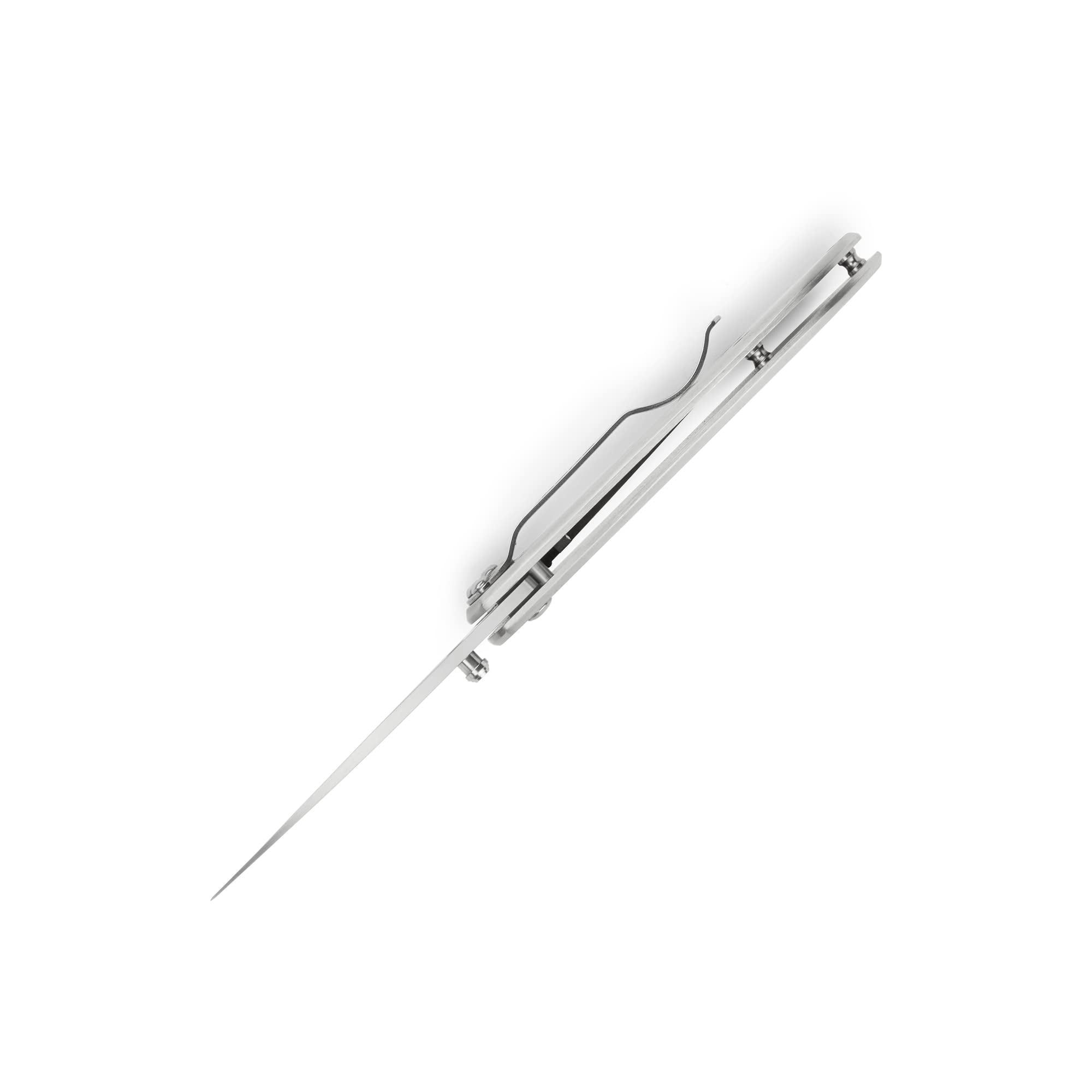 OZWNRT ブーファン　BoophamneMan TheCaudexMan sakai-white-2-deba-180mm-left-