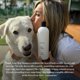 thumbnail image 4 of Champú para perros LolaVie Puppy Love 473 ml, paquete de 2 unidades, pH balanceado, 4 of 9