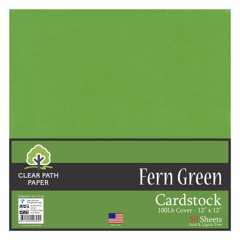 Fern Green Cardstock - 12 x 12 inch - 100Lb Cover - 50 Sheets - Clear Path  Paper