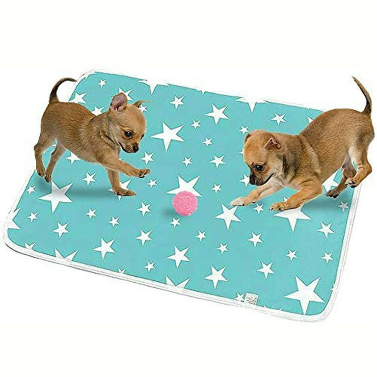 Super Absorbent Washable Pee Pads for Dogs - 2-Pack Superior Reusable Puppy  Pads Pet Training Pads –100% Waterproof Dog Pee Pad Protects Against Urine