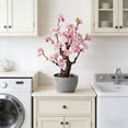 thumbnail image 6 of TOARTi Artificial Cherry Blossom Tree Light Pink Faux Flowers with Natural Trunk in Plastic Planter Indoor Tabletop Decor for Home Office Living Room 1.5 Feet, 6 of 9