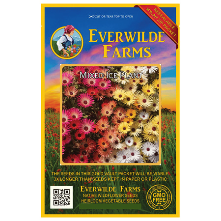 Everwilde Farms - 2000 Mixed Ice Plant Garden Flower Seeds - Gold Vault Jumbo Bulk Seed (Best Time To Plant Papaya Seeds)