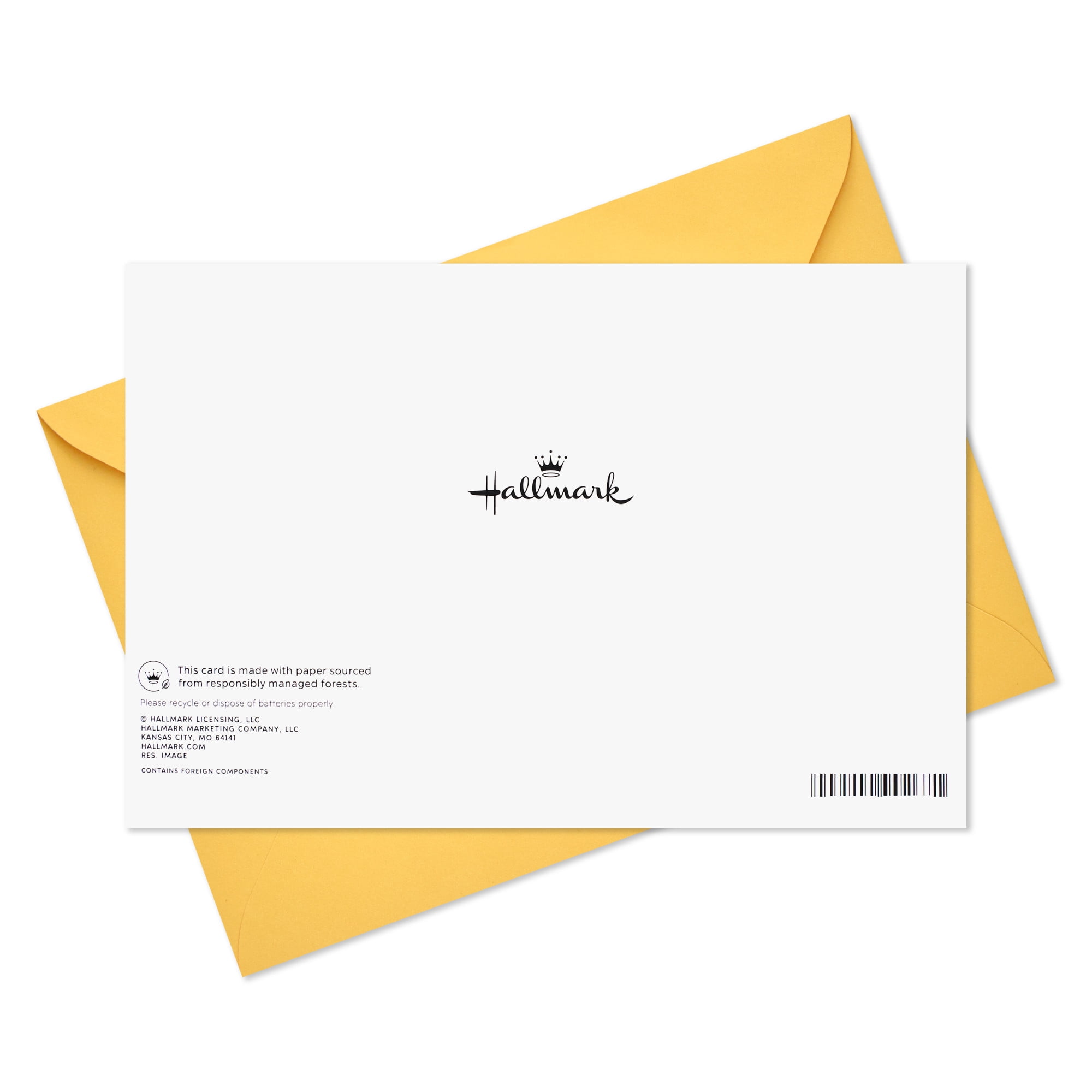 Hallmark Birthday Card