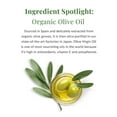 thumbnail image 5 of DHC Olive Virgin Oil Essential Cream 1.7oz, 5 of 8
