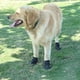 thumbnail image 4 of Juego de 4 botas para perros, zapatos impermeables para perros, botines para perros con velcro reflectante, suela antideslizante resistente y antideslizante, zapatos para perros al aire libre para perros medianos a grandes MFZFUKR 2034966-2, 4 of 8