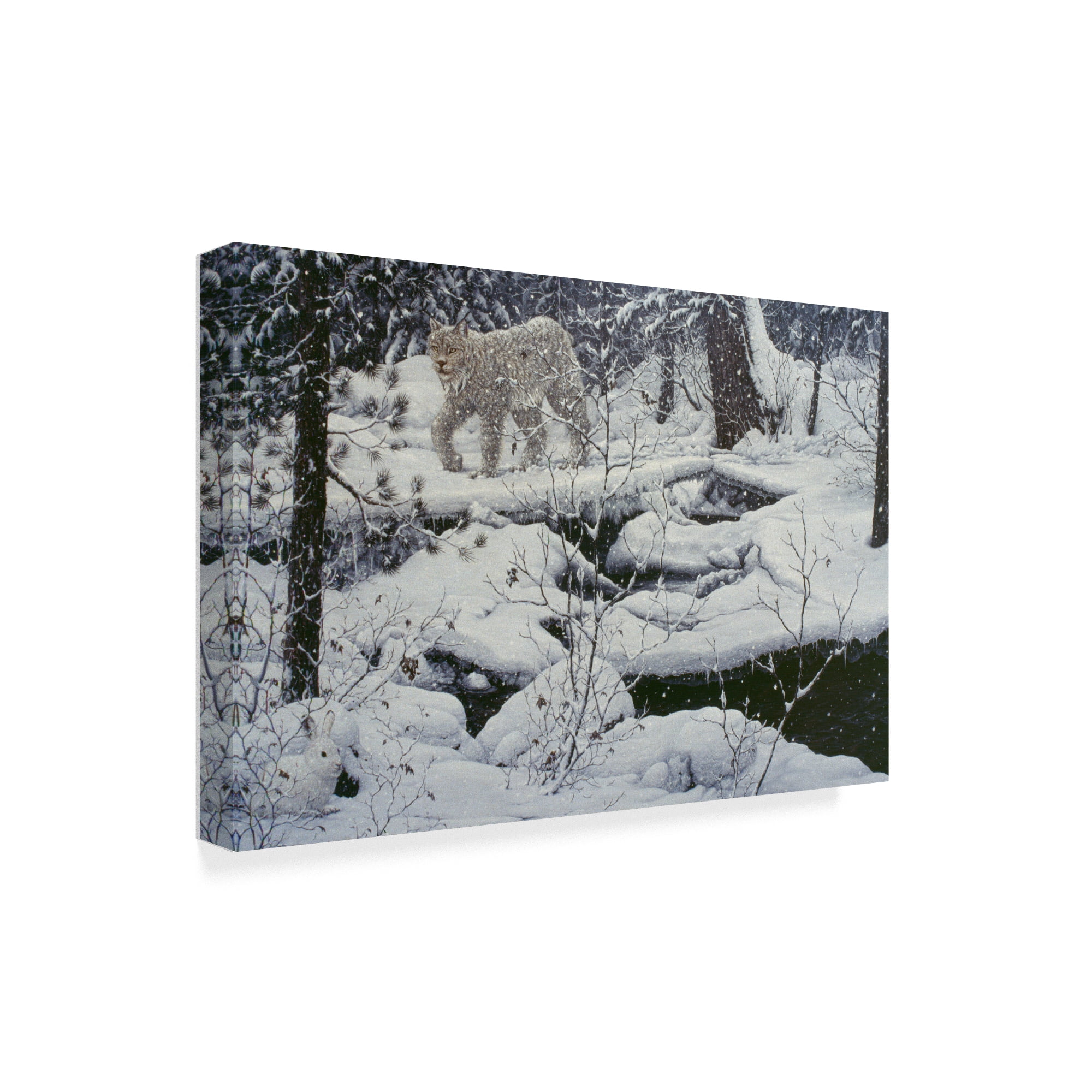 Trademark Fine Art 'Canadian Lynx' Canvas Art by Jeff Tift