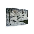 thumbnail image 2 of Trademark Fine Art 'Canadian Lynx' Canvas Art by Jeff Tift, 2 of 3