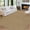Brown, variant on Rugs for Living Room,Area Rug Washable Rugs for Living Room Bedroom Office Nursery Modern Solid Area Rug Contemporary Minimalism Rug Low Pile Neutral Soft Rug Non Slip Farmhouse Floor Cover