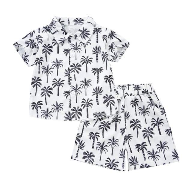 Odeerbi 1-8 Años Conjunto de Verano Para Niños de Hawaianos Camiseta de Manga Corta de Algodón Con Estampado Tropical Conjunto de Dos Piezas de Gráficos