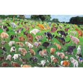 thumbnail image 1 of 101 Pooping Puppies 101 Dog Poop Jigsaw Puzzle 1000 Sheet Plane Puzzle Decompression, 1 of 2