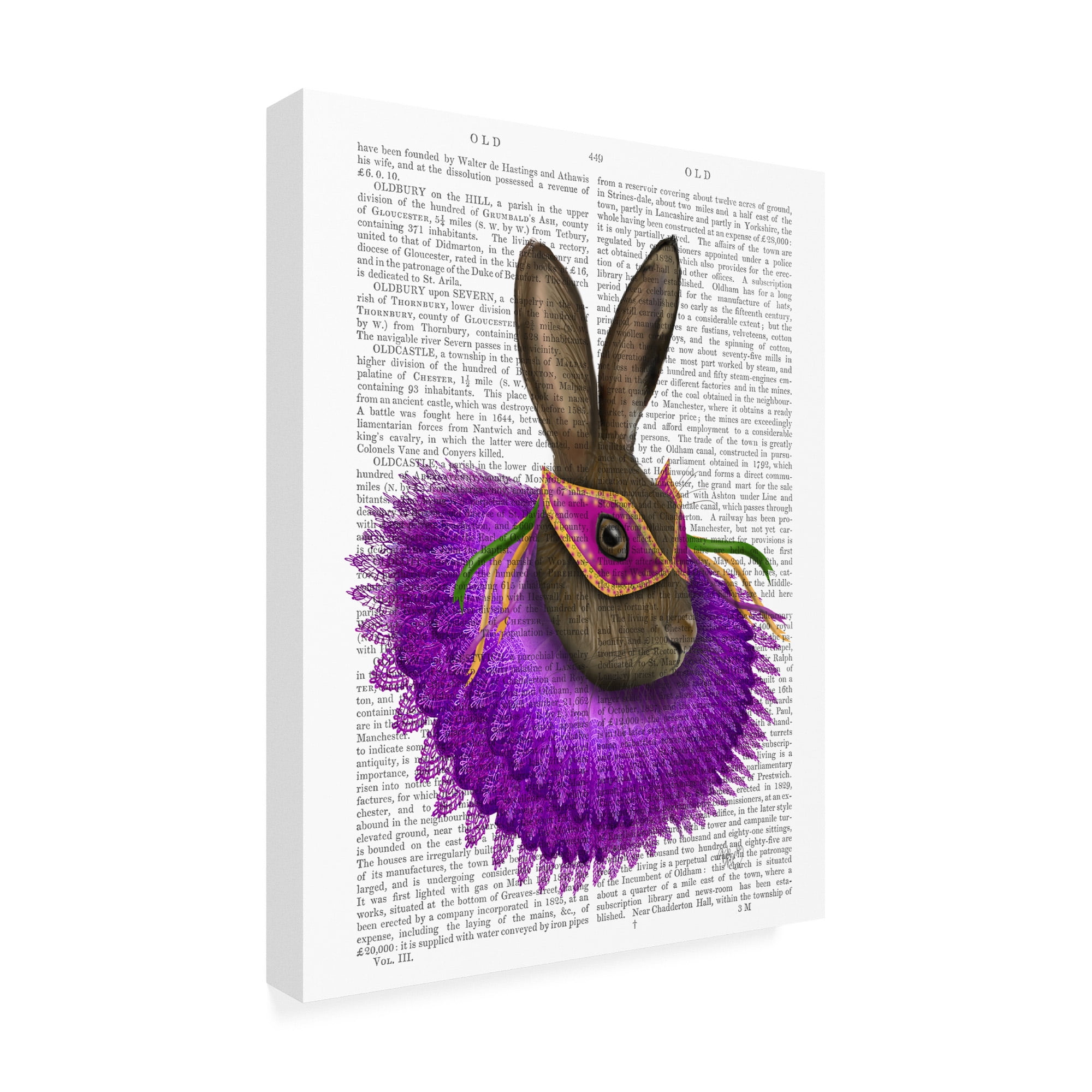 Trademark Fine Art 'Mardi Gras Hare' Canvas Art by Fab Funky