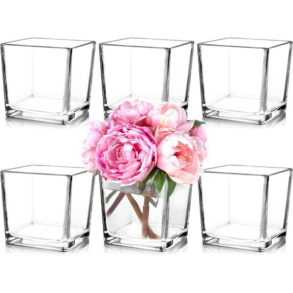 Set of 6 Square Glass Vases 5 x5 x 5 Clear Flower Vases for Centerpieces Candle Holder for Wedding Party Events Home Decor