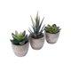 thumbnail image 1 of Plantas Suculentas Artificiales, Vegetación Falsa, Plantas En Maceta De Simulación En Miniatura, Maceta Surtida Segura Para Escritorio De Oficina Y Hogar Eigraketly HA016575-00, 1 of 5