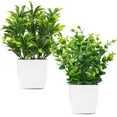 thumbnail image 1 of Mini plantas artificiales en maceta, plantas de hojas de eucalipto de plástico falso para el hogar, oficina, escritorio, habitación, decoración verde, paquete de 2 Namotu CZJJ-HQ89, 1 of 6