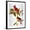 Black Frame, variant on Art.com Audubon: Cardinal Giclee Print by John James Audubon, 12" x 16"