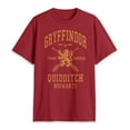 thumbnail image 1 of Remera Warner Bros Harry Potter Buscador de Quidditch de Gryffindor, 1 of 4