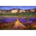 thumbnail image 1 of Marmont Hill Bountiful Valley Chris Vest Painting Print On Canvas, 1 of 7