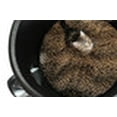 thumbnail image 4 of The Kitty Tube Maison pour Chat Isolée avec Oreiller, 4 of 9