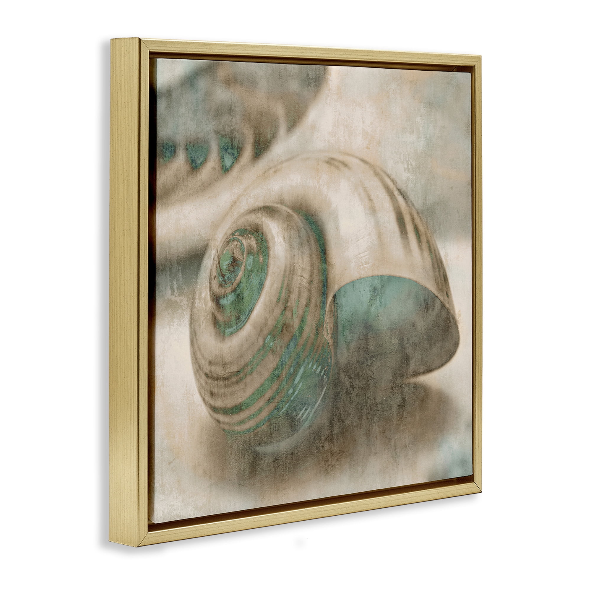 Stupell Industries Centered Sharkeye Seashell Nature Photography Gold Floater Framed Canvas Art Print Wall Art, 18 x 18