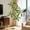 Green-180cm, variant on 4ft/5ft/6ft Realistic Artificial Dracaena Tree with Natural Wood Trunk, Tall Faux Yucca Plant for Home & Office Decor