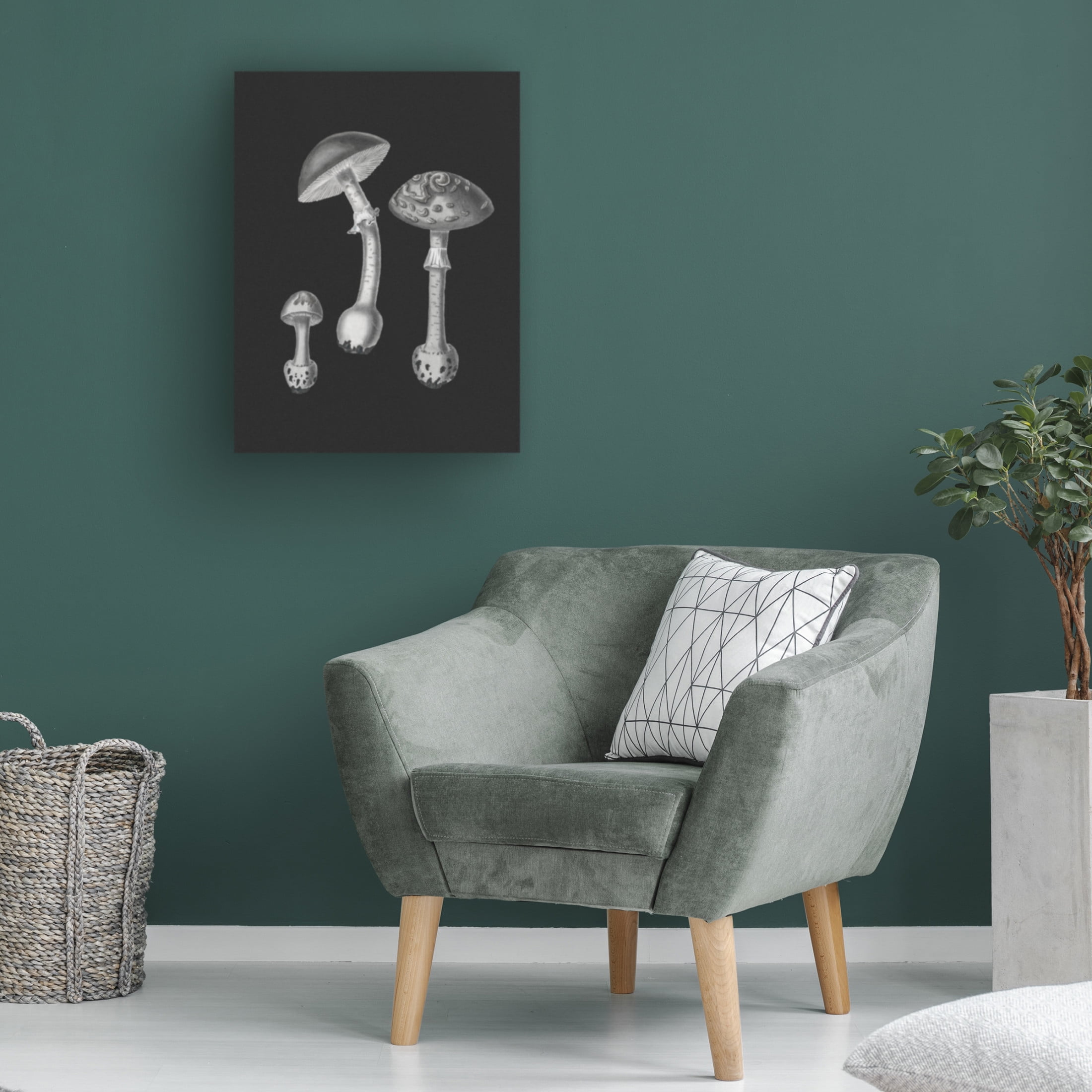 Trademark Fine Art Pictufy   Amanita Muscaria  Black Backgound BW Canvas Wall Art