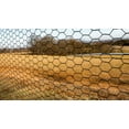 thumbnail image 5 of Trident Fence 7.5ft x 100ft PVC Coated Chicken Wire - Black, 5 of 5