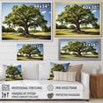 thumbnail image 4 of Designart "Majestic Oak Trees Nature s Wonders II" Floral Wall Decor, 4 of 5