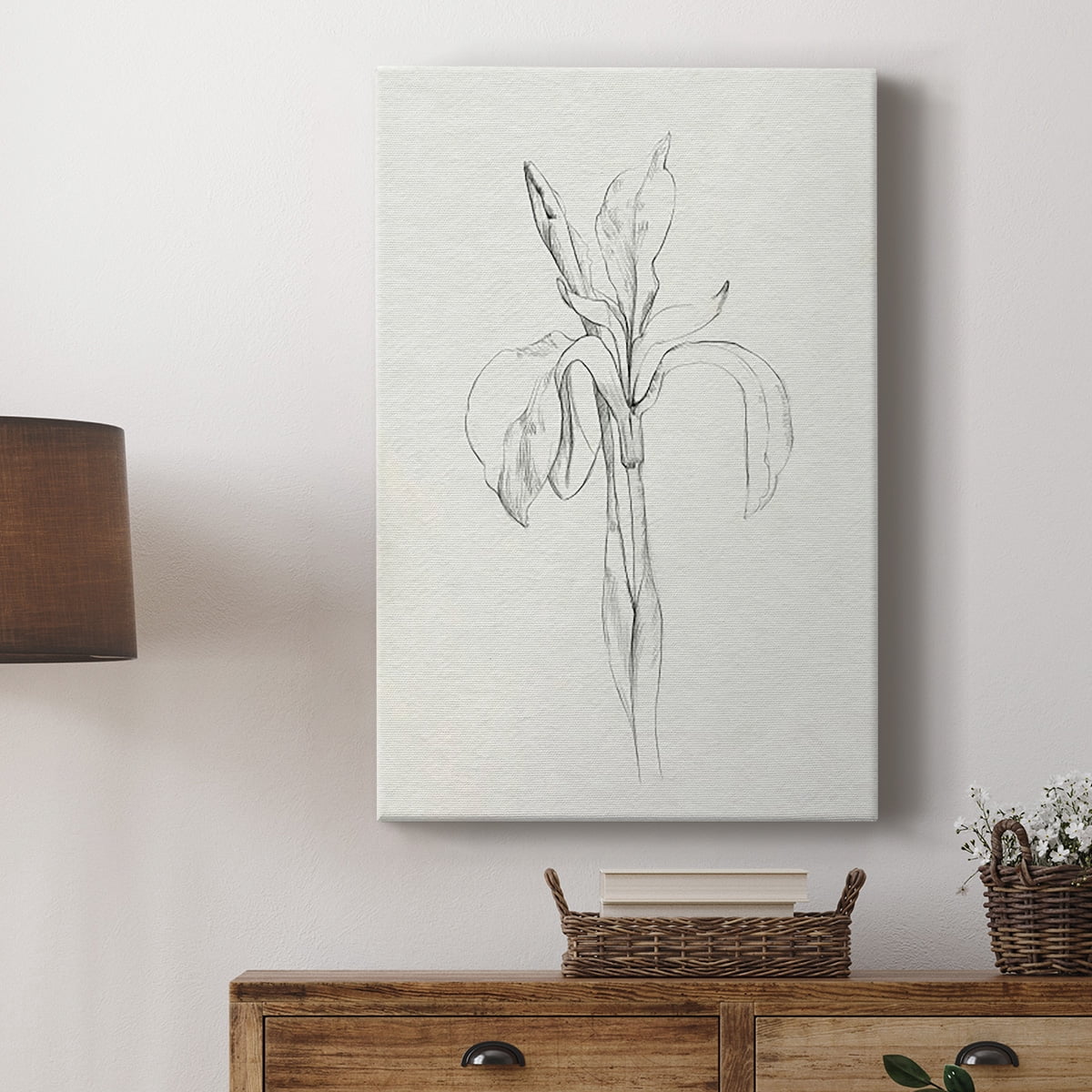 Neutral Iris Sketch II Premium Gallery Wrapped Canvas - Ready to Hang