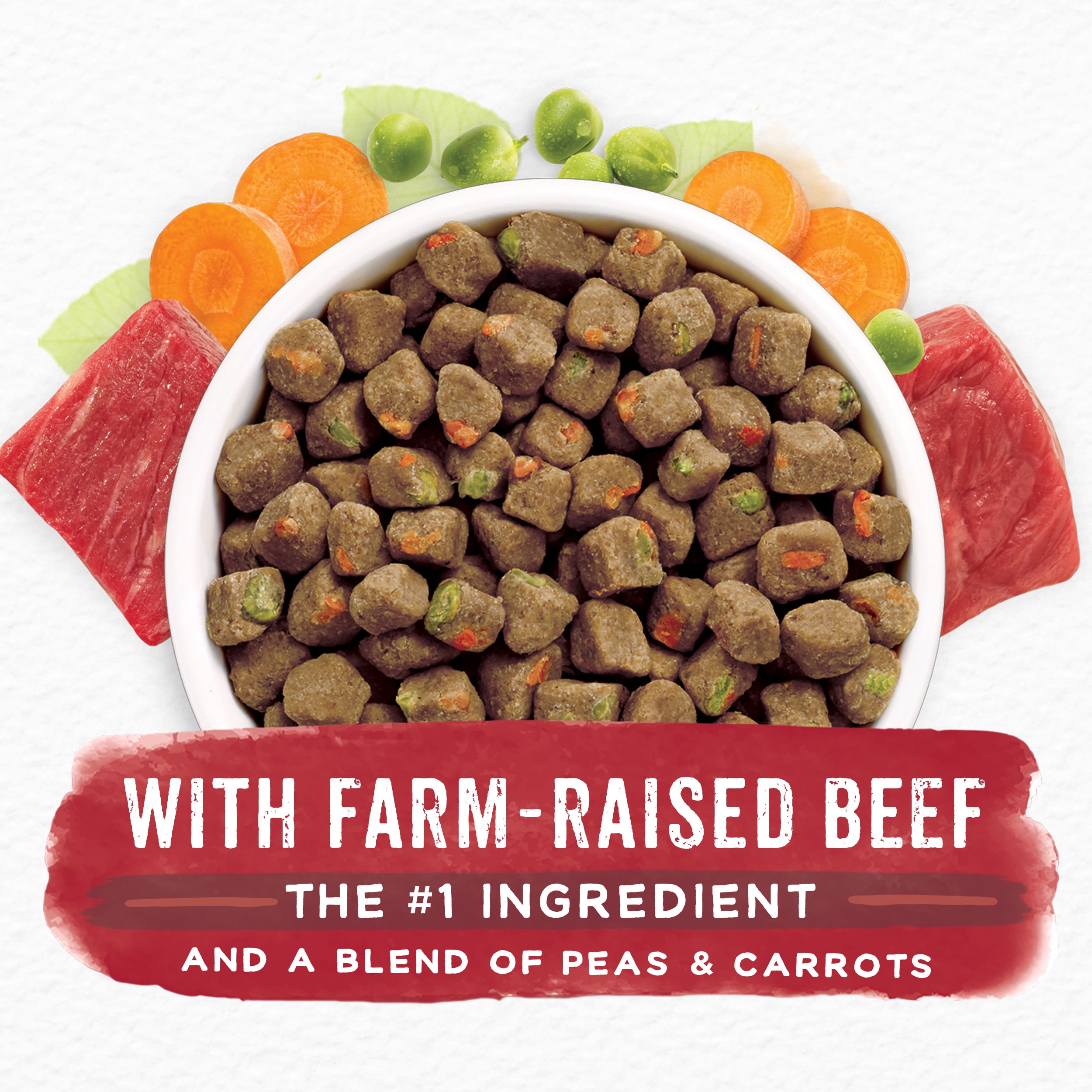 Publix beneful cheap dog food