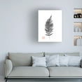 thumbnail image 2 of Canvas Wall Art - Pechane 'Fern' Wall Art for Living Room, Bedroom, or Office Décor by Trademark Fine Art - 24 x 32 Inches, 2 of 4