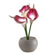 thumbnail image 2 of Artificial Calla Lily LED Night Lamp with White Vase,Simulation Flower Bedside Table Lamp for Bedroom,Living Room,Home Desktop Decor, 2 of 6