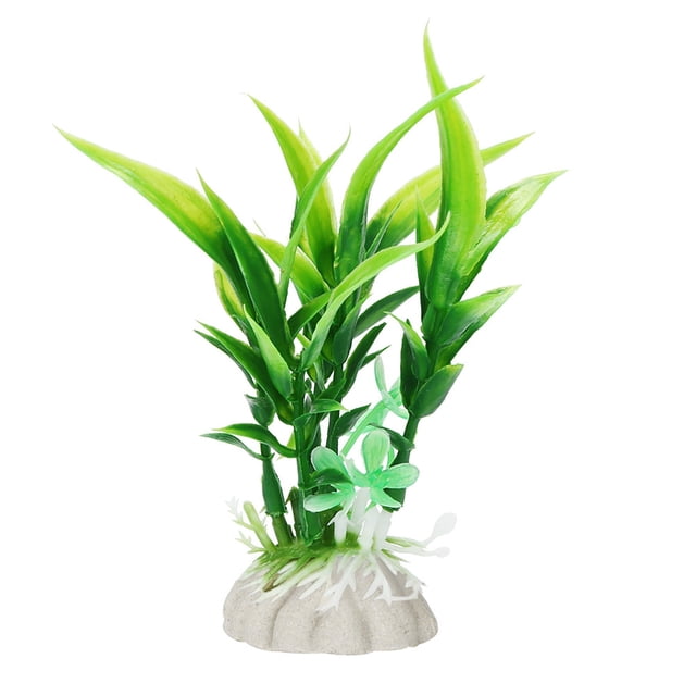 Alrededor del acuario Acuario Pecera Planta Criatura Decoración del acuario Decoración Paisaje