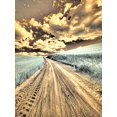 thumbnail image 2 of Eggers, Terry 15x18 White Modern Wood Framed Museum Art Print Titled - USA-Washington State-Palouse-Country backroad through spring crops, 2 of 4