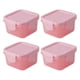 thumbnail image 1 of 4pcs Mini cajas de fresco de mantenimiento de frescos Contenedores de verduras conjuntamente Caja de condimentos, 1 of 5