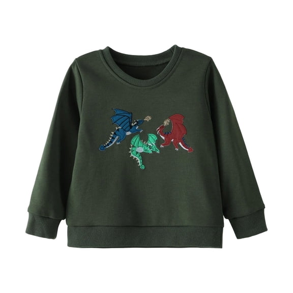 Toddler Cute Sweatshirts For Boys Crew Neck Dinosaur Embroidery Pullover For Kids Loose Fall Fashion Outfits Size 2-3T
