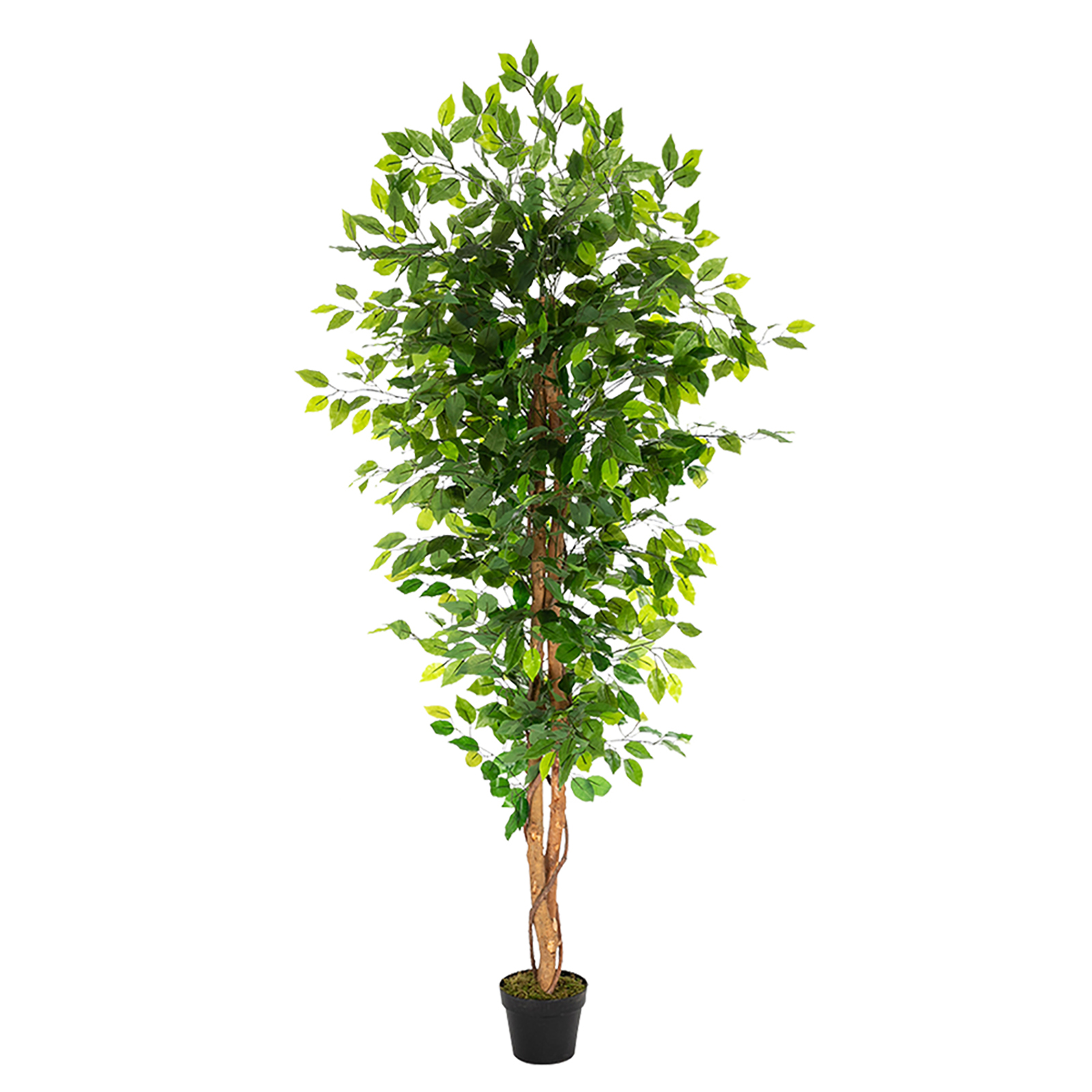 Husfou Artificial Ficus Silk Tree, 6ft Tall Fake Plant with Plastic
