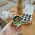 thumbnail image 2 of Heavenly Tea Leaves 9 Flavor Variety Pack Assorted Loose Leaf Tea Sampler, 2 of 6