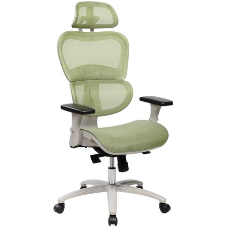 Techni Mobili High Back Mesh Executive Office Chair with Neck Support, Green (Best Office Chair For Back And Neck Pain)