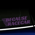 thumbnail image 1 of Because Racecar - Vinyl Decal - Choose Color - [VIOLET], 1 of 1