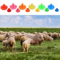 thumbnail image 3 of Ruiboury 100pcs Sheep Rabbit Ear Tag Identification Card Ear Sign Cattle Ears Markers Rose Red, 3 of 6