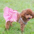 thumbnail image 2 of Pet Dog Period Pants Female Dog Nappy Dress Washable Absorbent Doggy Diaper S, 2 of 5