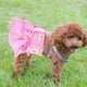 thumbnail image 2 of Pet Dog Period Pants Female Dog Nappy Dress Washable Absorbent Doggy Diaper S, 2 of 5