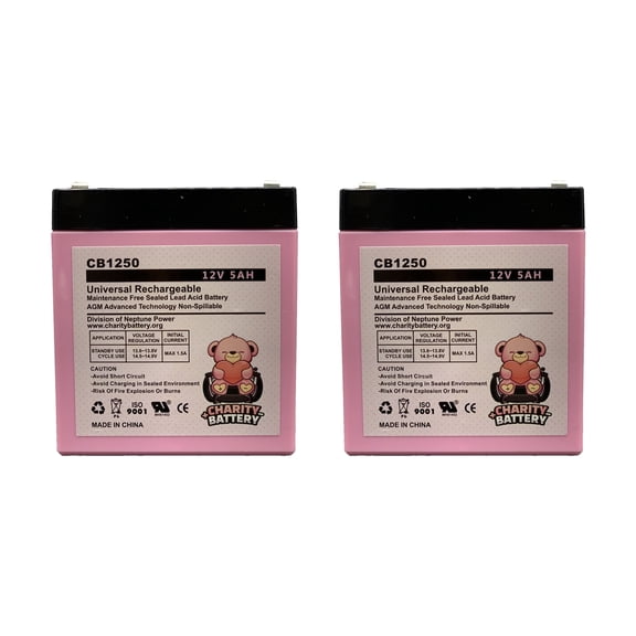 Belkin BERBC53 12v 5Ah Replacement UPS SLA battery by Charity Battery - 2 Pack